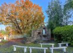 img20241011102923 (1)