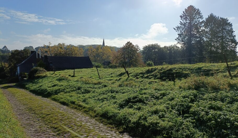 img20241011105214