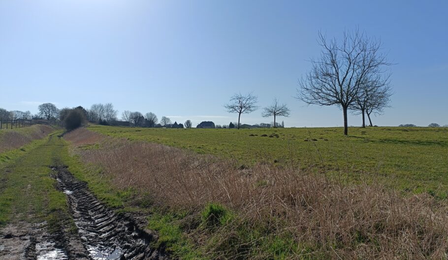 img20250307113938