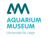 Logo Aquarium