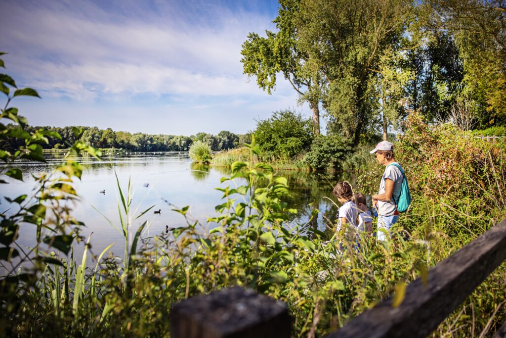 Famille observant la nature au bord du lac.