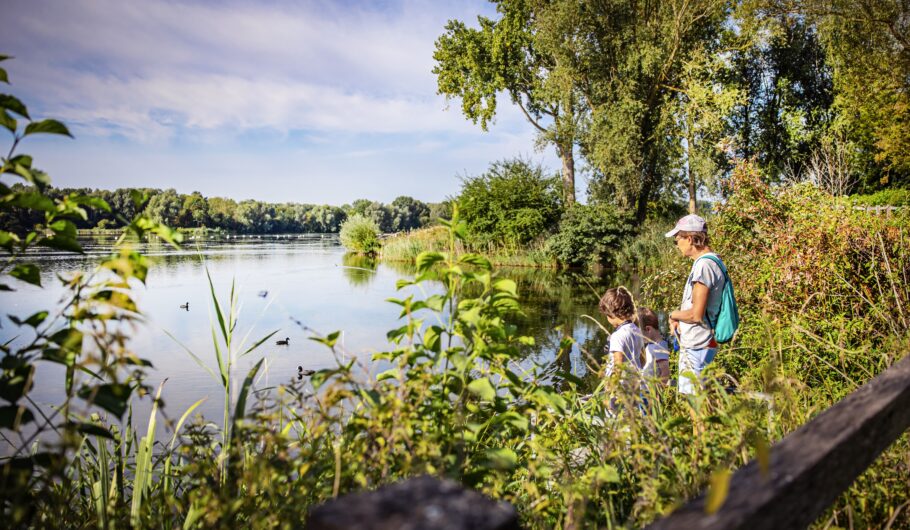 Famille observant la nature au bord du lac.