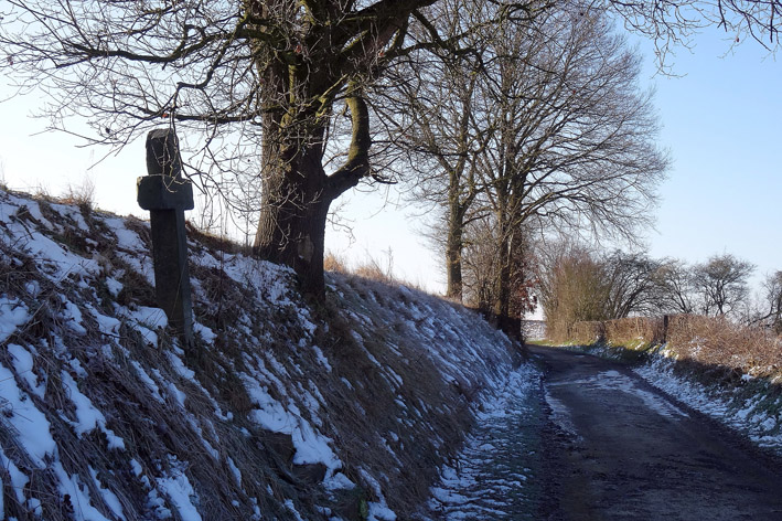 Chemin rural enneigé bordé d’arbres et d’une croix