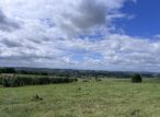 Paysage rural vallonné sous ciel nuageux