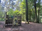 Panneau pédagogique en bois au cœur d’une forêt