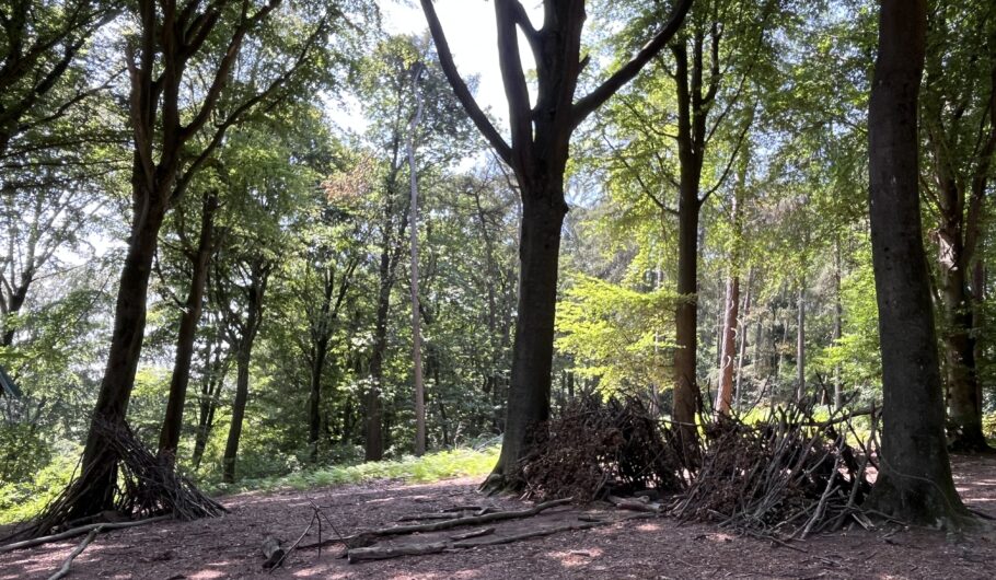 Clairière forestière avec cabanes en branches