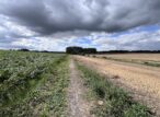 Chemin rural entre champs sous ciel orageux