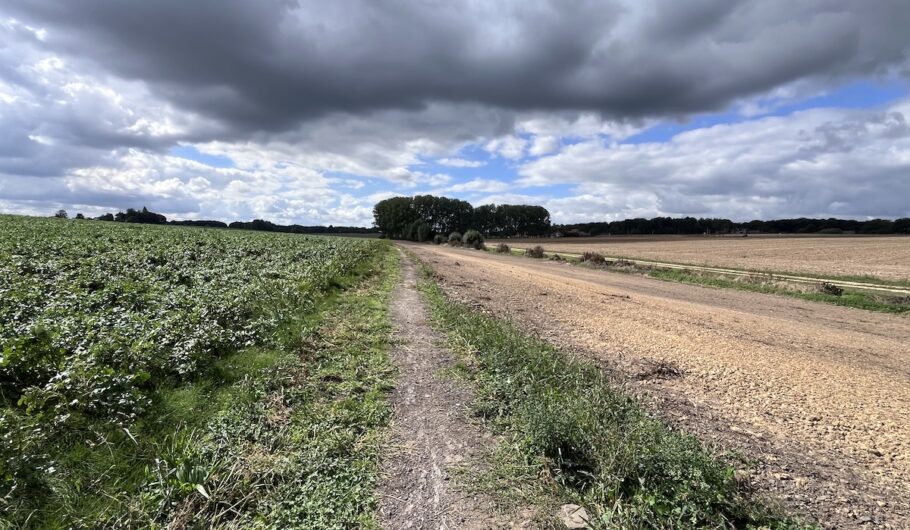 Chemin rural entre champs sous ciel orageux
