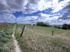 Sentier rural longeant une prairie sous un ciel nuageux