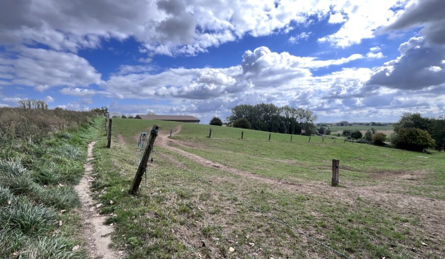 Sentier rural longeant une prairie sous un ciel nuageux