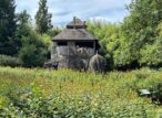 Arche de Noé en bois entourée d’animaux