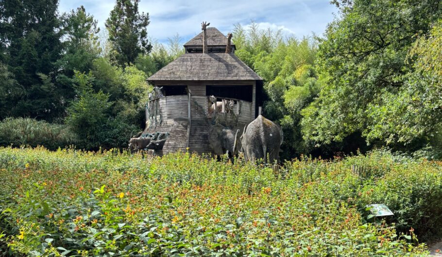 Arche de Noé en bois entourée d’animaux
