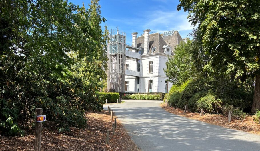 Allée arborée menant à une villa blanche rénovée