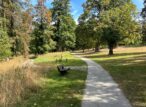 Sentier sinueux et banc dans un parc arboré