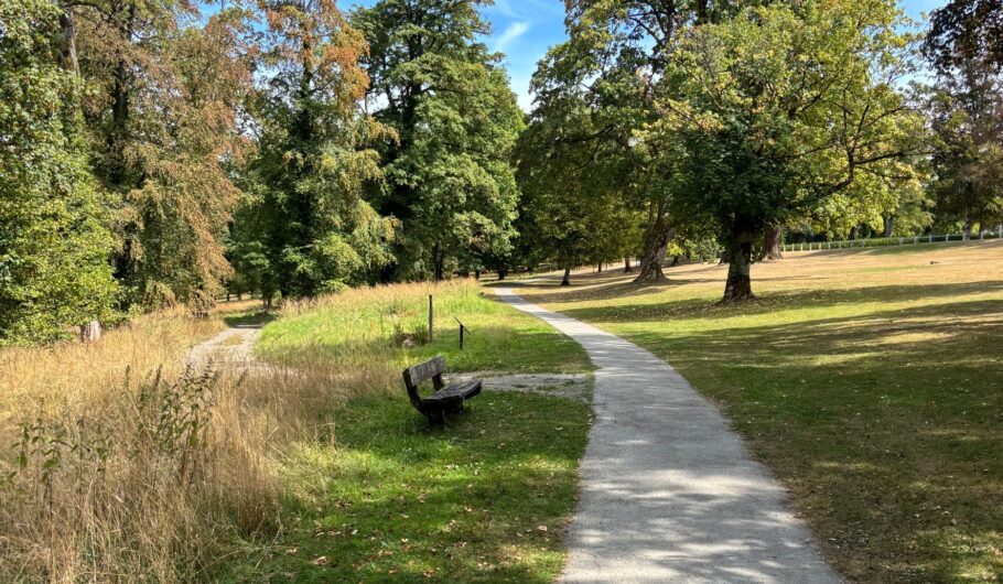 Sentier sinueux et banc dans un parc arboré