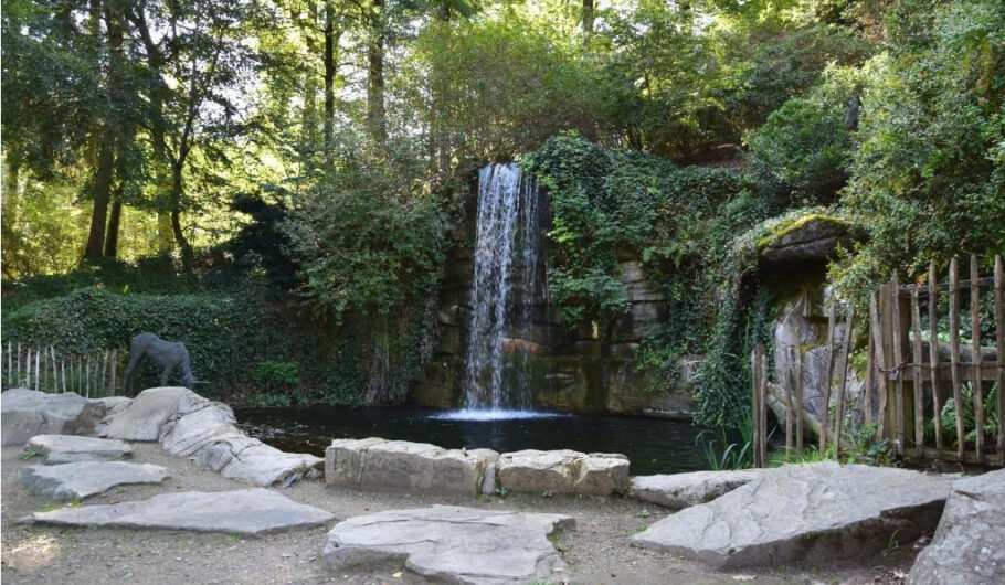 Cascade entourée de végétation dans un jardin boisé