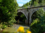 Pont en pierre au-dessus d’une rivière boisée