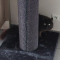 Profielfoto