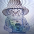 Photo de profil